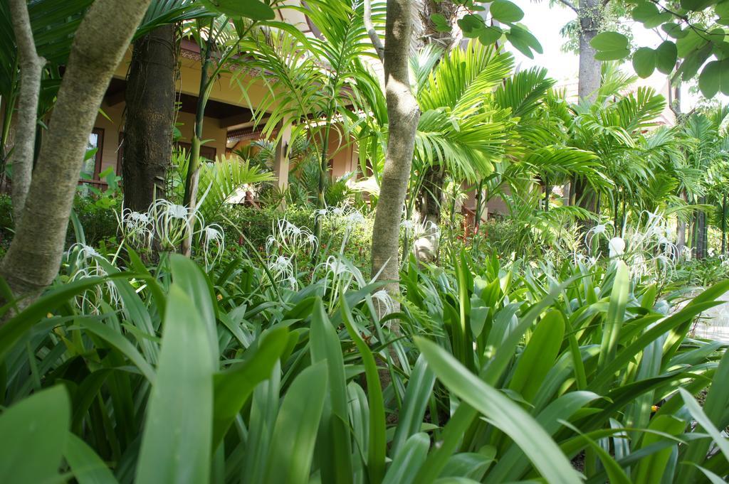 Palm Village Rawai Exterior foto