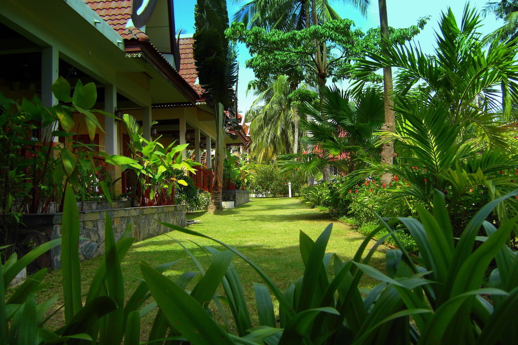 Palm Village Rawai Exterior foto